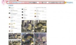 姐弟恋爆料官宣视频,姐弟恋甜蜜瞬间，甜蜜互动引网友热议